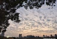 城市晚照 城市晚照